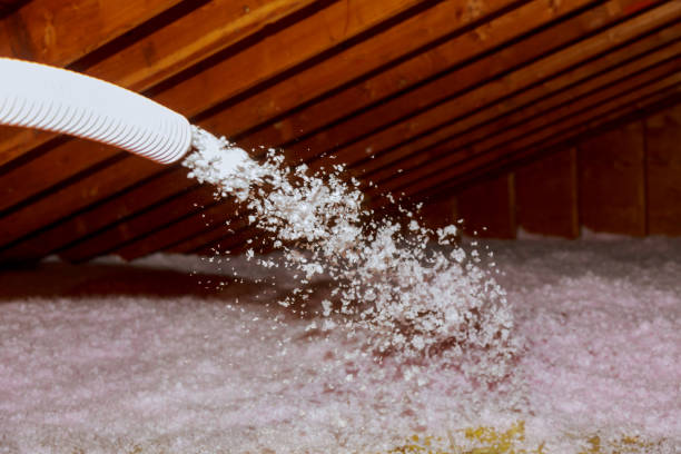 Best Insulation Maintenance and Repair in Shepherdstown, WV